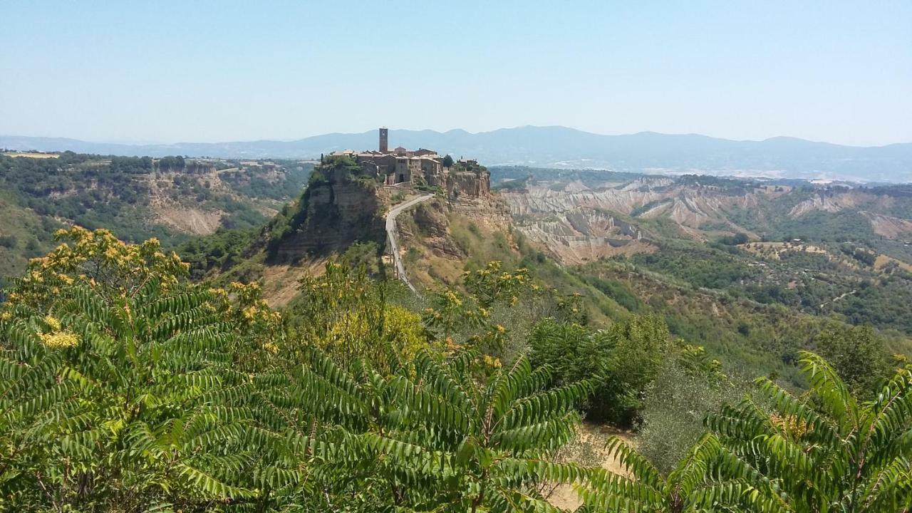 Green House - Blue House Civitella dʼAgliano المظهر الخارجي الصورة
